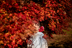 ロケーションフォト・フォトウェディング・前撮り・白無垢・色打掛・紋付袴・紅葉・自然・秋