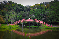 ロケーションフォト・フォトウェディング・前撮り 白無垢・色打掛・紋付袴 称名寺・桜・紅葉・お寺・神奈川